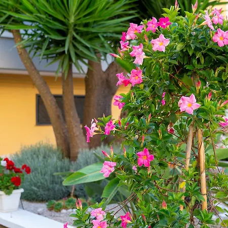 ベッド・アンド・ブレックファスト Marle