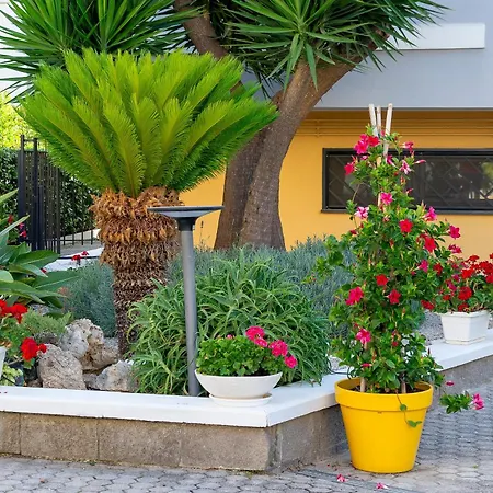 Marlè Bed & Breakfast 4*