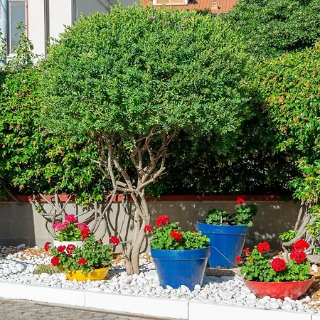 Marlè Bed & Breakfast Agropoli