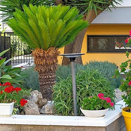 Marlè 4* Agropoli