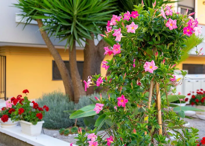 Alojamento de Acomodação e Pequeno-almoço Marle