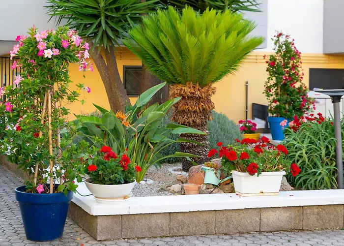 Marle Alojamento de Acomodação e Pequeno-almoço