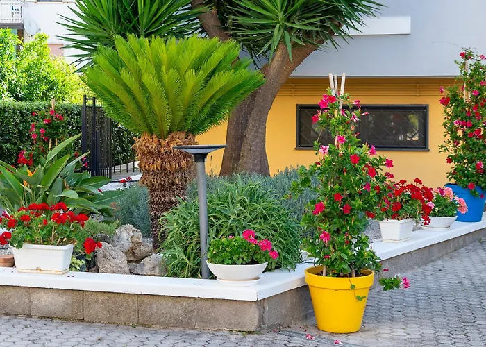 Marle Alojamento de Acomodação e Pequeno-almoço 4*